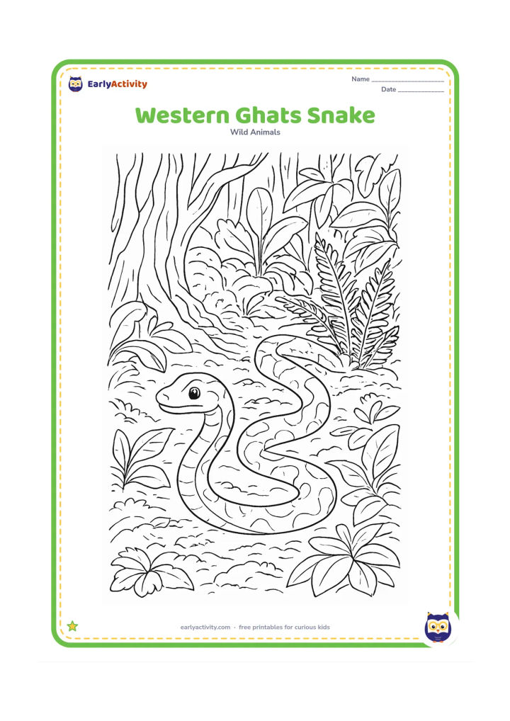 Colouring page: Draw a snake winding over a mossy forest floor in a lush Western Ghats scene, surrounded by ferns, broad leaves, tree roots, and layered plants. Include varied natural shapes without…