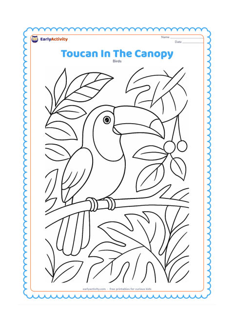 Colouring page: A toucan balances on a branch high among layered tropical leaves, with a second branch behind it and a few round fruits hanging nearby. Show the full bird in profile and include clear…
