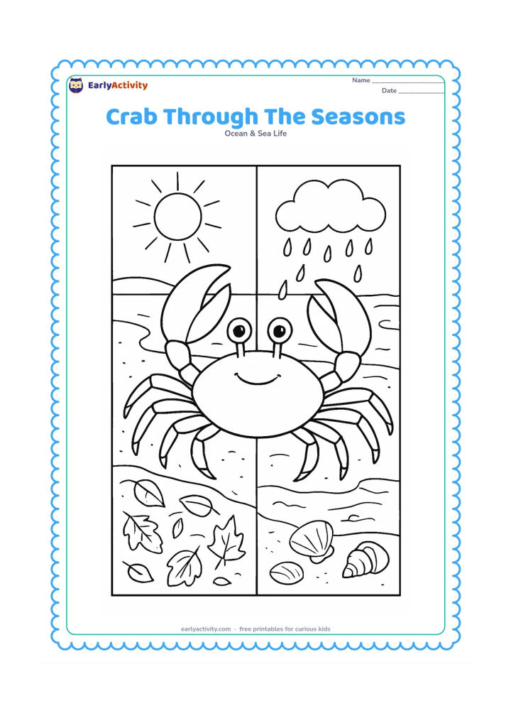 Colouring page: Create one large crab in the centre of a four-part natural scene showing seasonal shore changes: sunny summer sand, monsoon rain and puddles, autumn leaves near mangrove roots and a cool…