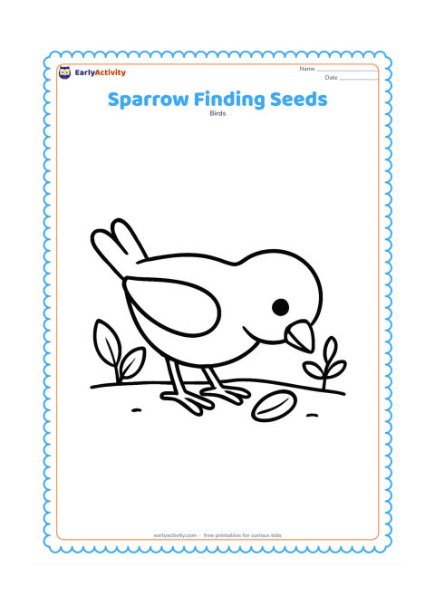 Colouring page: Draw one sparrow bending down to pick up a large seed on a bare patch of garden soil. Add two simple leaves and one small plant.