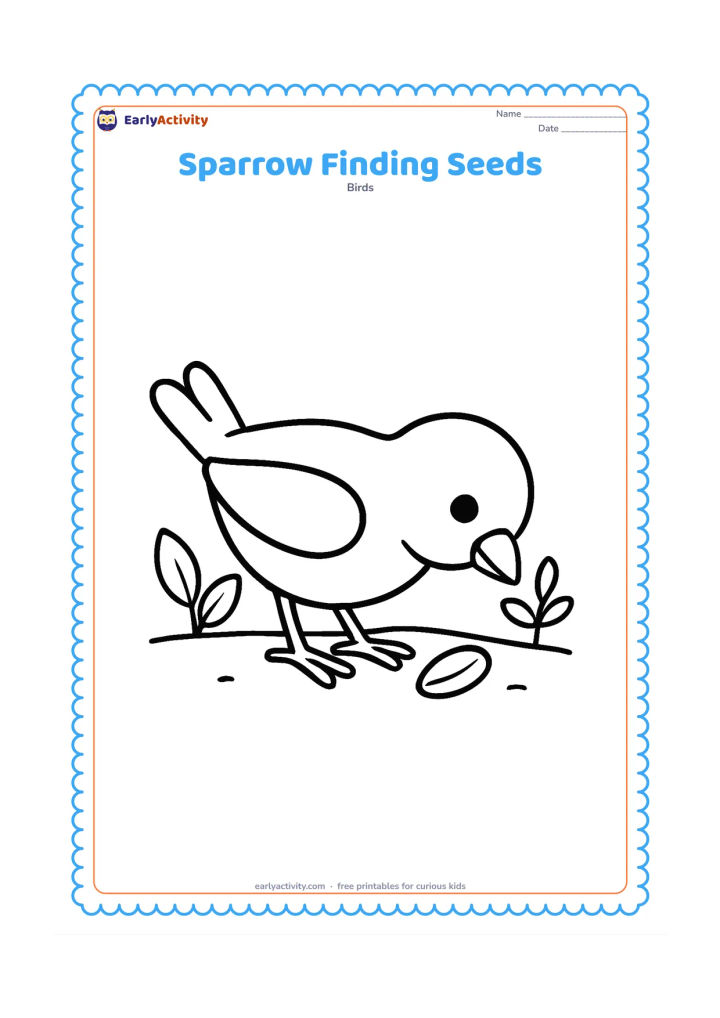Colouring page: Draw one sparrow bending down to pick up a large seed on a bare patch of garden soil. Add two simple leaves and one small plant.