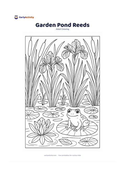 Colouring page: Draw a pond edge filled with reeds, cattails, water iris, floating leaves, and a few reflected stems. Include a frog sitting quietly on a lily pad and small ripples around it.