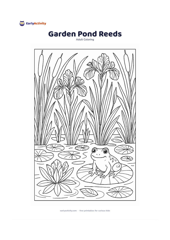 Colouring page: Draw a pond edge filled with reeds, cattails, water iris, floating leaves, and a few reflected stems. Include a frog sitting quietly on a lily pad and small ripples around it.