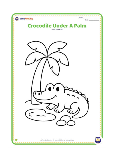 Colouring page: Draw a crocodile resting under one large palm tree beside a small pool. Include a broad tree trunk, oversized leaves, and three smooth stones.