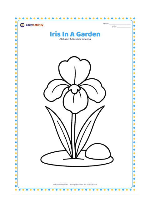 Colouring page: Draw one large iris flower with broad petals and two long leaves growing from a simple patch of soil. Add one rounded garden stone beside it.