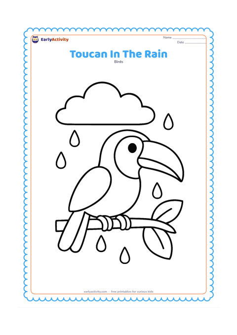 Colouring page: A toucan perches on a short branch beneath one large cloud, with a few widely spaced raindrops and two broad leaves around it. The bird should remain the largest feature of the picture.