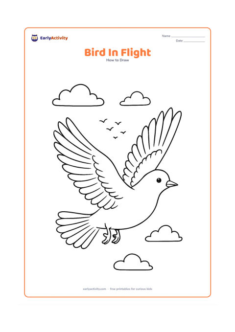 Worksheet: A bird crosses the page in full flight with both wings extended in different positions, a slightly turned head, open tail feathers and tucked feet. Add layered primary feathers, a few…