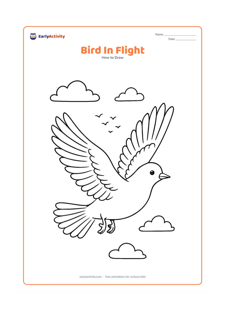 Worksheet: A bird crosses the page in full flight with both wings extended in different positions, a slightly turned head, open tail feathers and tucked feet. Add layered primary feathers, a few…