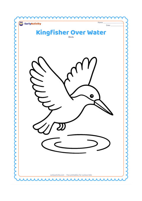 Colouring page: A kingfisher flies above a small patch of water with wings spread wide, tail feathers apart and beak pointing downward. Add three simple ripples below it.