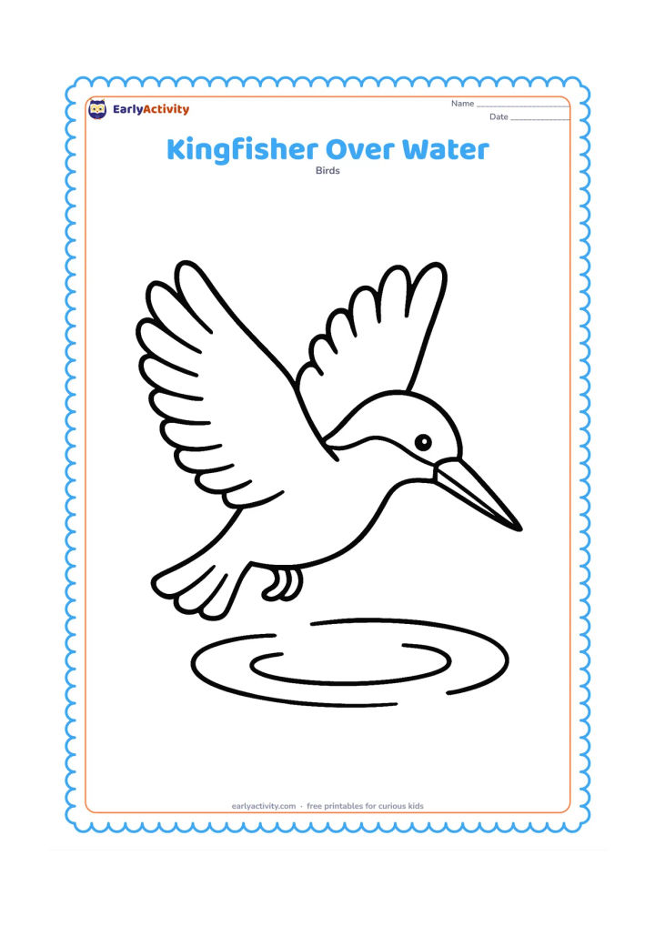 Colouring page: A kingfisher flies above a small patch of water with wings spread wide, tail feathers apart and beak pointing downward. Add three simple ripples below it.
