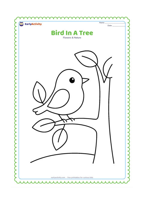 Colouring page: Draw a small cheerful bird sitting on a thick branch of a simple leafy tree, with a few large leaves and a curved ground line below. Keep the bird and tree fully visible.