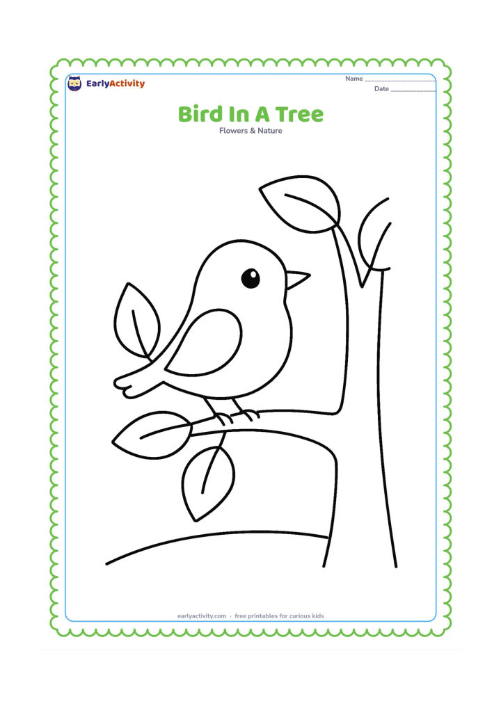 Colouring page: Draw a small cheerful bird sitting on a thick branch of a simple leafy tree, with a few large leaves and a curved ground line below. Keep the bird and tree fully visible.