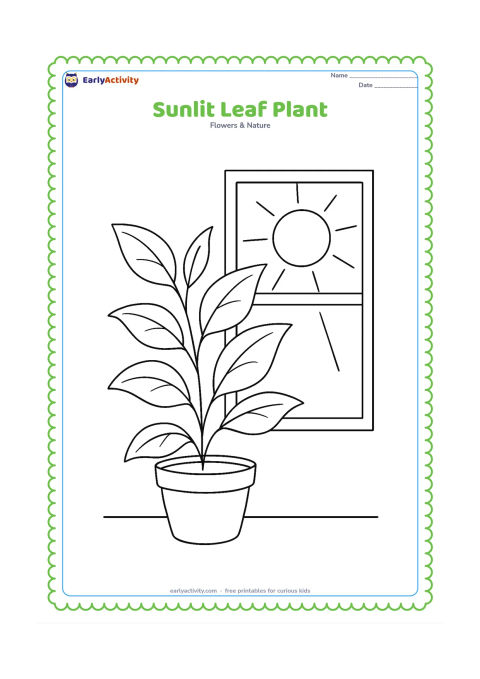 Colouring page: A leafy potted plant stands beside a sunny window, with several leaves turned toward the light and simple rays entering through the glass.