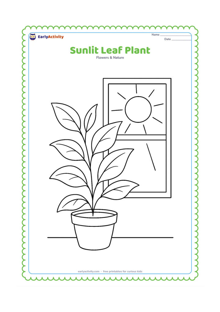 Colouring page: A leafy potted plant stands beside a sunny window, with several leaves turned toward the light and simple rays entering through the glass.
