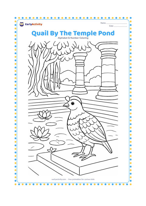 Colouring page: A quail stands beside a temple pond in an Indian garden during early morning. Include stone steps, lotus flowers, carved but unmarked pillars, banyan roots, and a small water bird in the…