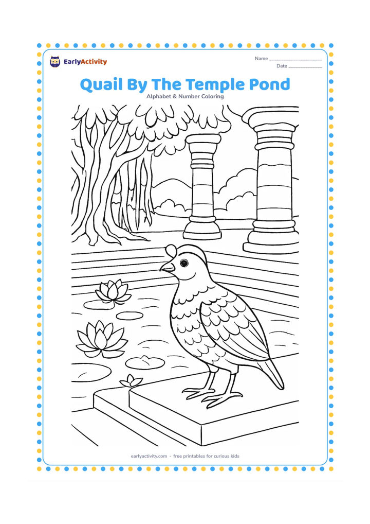Colouring page: A quail stands beside a temple pond in an Indian garden during early morning. Include stone steps, lotus flowers, carved but unmarked pillars, banyan roots, and a small water bird in the…