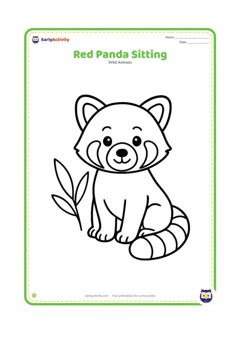 Colouring page: Draw one red panda sitting upright with its large rounded ears, pale face, dark paws and long ringed tail curled beside it. Leave most of the background open, with only two large bamboo…