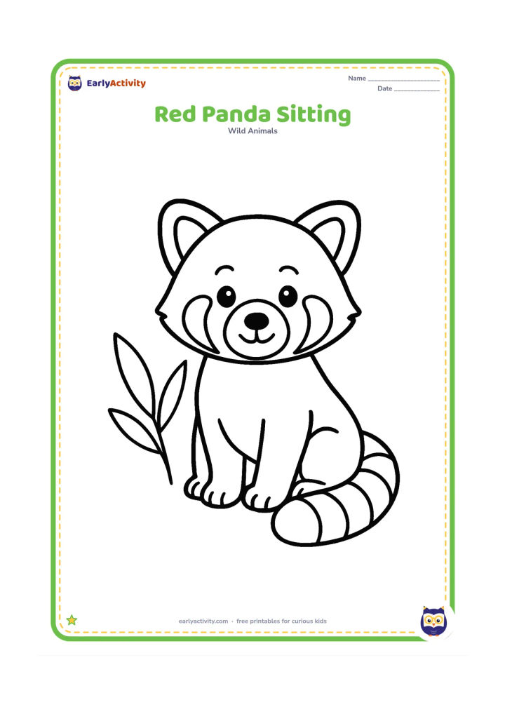 Colouring page: Draw one red panda sitting upright with its large rounded ears, pale face, dark paws and long ringed tail curled beside it. Leave most of the background open, with only two large bamboo…