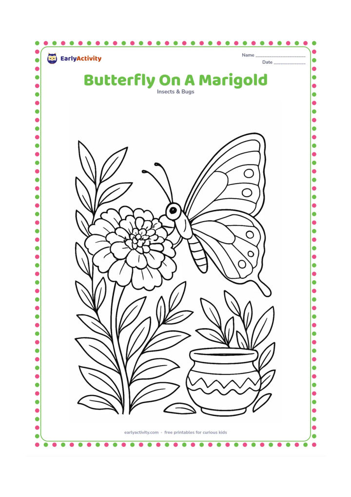 Colouring page: Draw a butterfly feeding on a large marigold in an Indian home garden, with several layered petals, a clay pot, and leafy stems. Show the butterfly in side view with its curled proboscis…