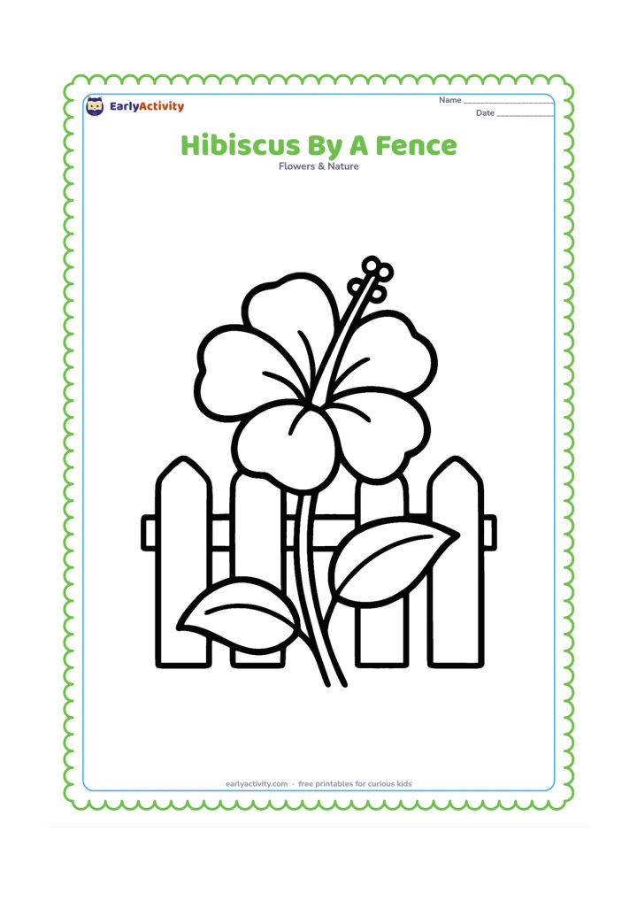 Colouring page: Draw one large hibiscus plant beside a simple garden fence made from broad vertical boards. Include two leaves and a single curved stem.