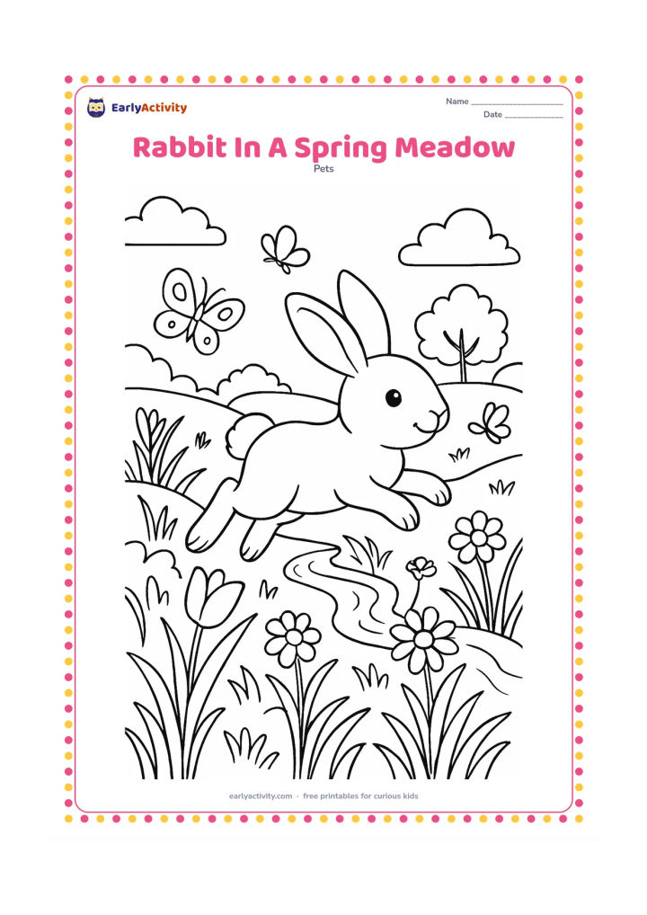 Colouring page: A rabbit hops through a spring meadow filled with different flowers, curling grass, butterflies and a small stream. Add distant rounded trees and a gently sloping hill.