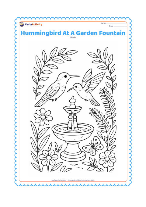 Colouring page: A hummingbird flies beside a small stone fountain surrounded by flowers, ferns and leafy branches. Show water falling into a basin with ripples, plus a butterfly near the plants.