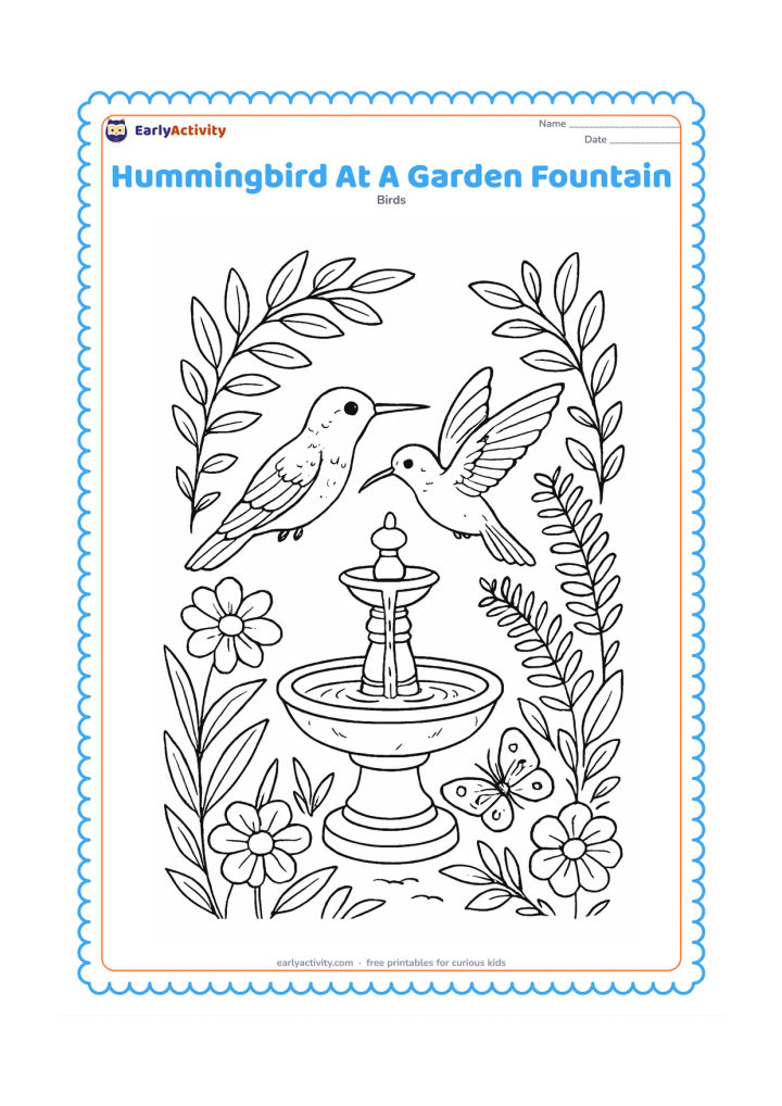 Colouring page: A hummingbird flies beside a small stone fountain surrounded by flowers, ferns and leafy branches. Show water falling into a basin with ripples, plus a butterfly near the plants.