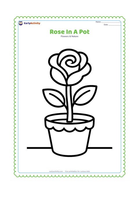 Colouring page: Draw a single flowering rose growing from a round plant pot, with a thick stem, two large leaves, and a simple scalloped rim on the pot. Place the pot on a plain ground line.