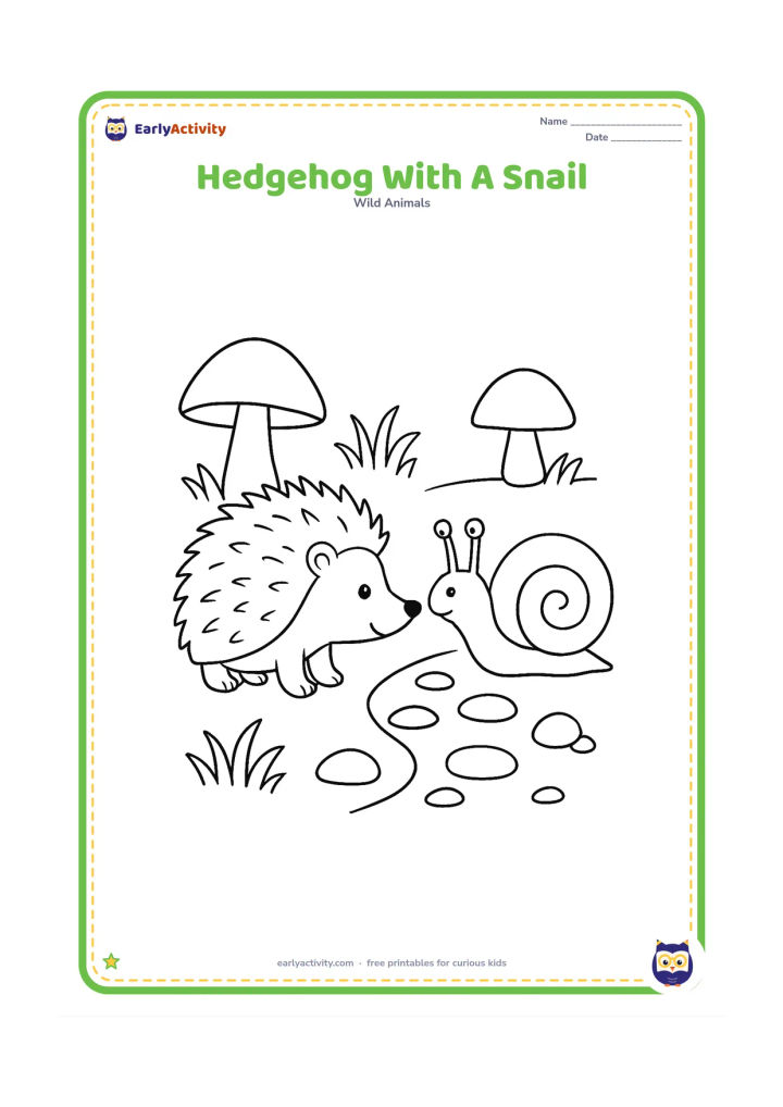 Colouring page: Draw a hedgehog and a friendly snail meeting on a garden path, with the hedgehog lowering its nose to sniff. Add mushrooms, grass and a few rounded stones.