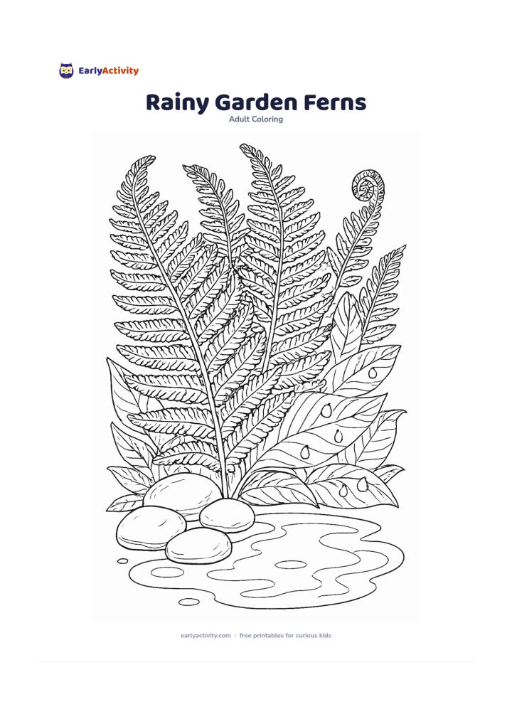 Colouring page: Draw layered fern fronds beside wet stones and a small puddle after rain. Include curled young fern tips, broad tropical leaves, and droplets resting on the foliage.