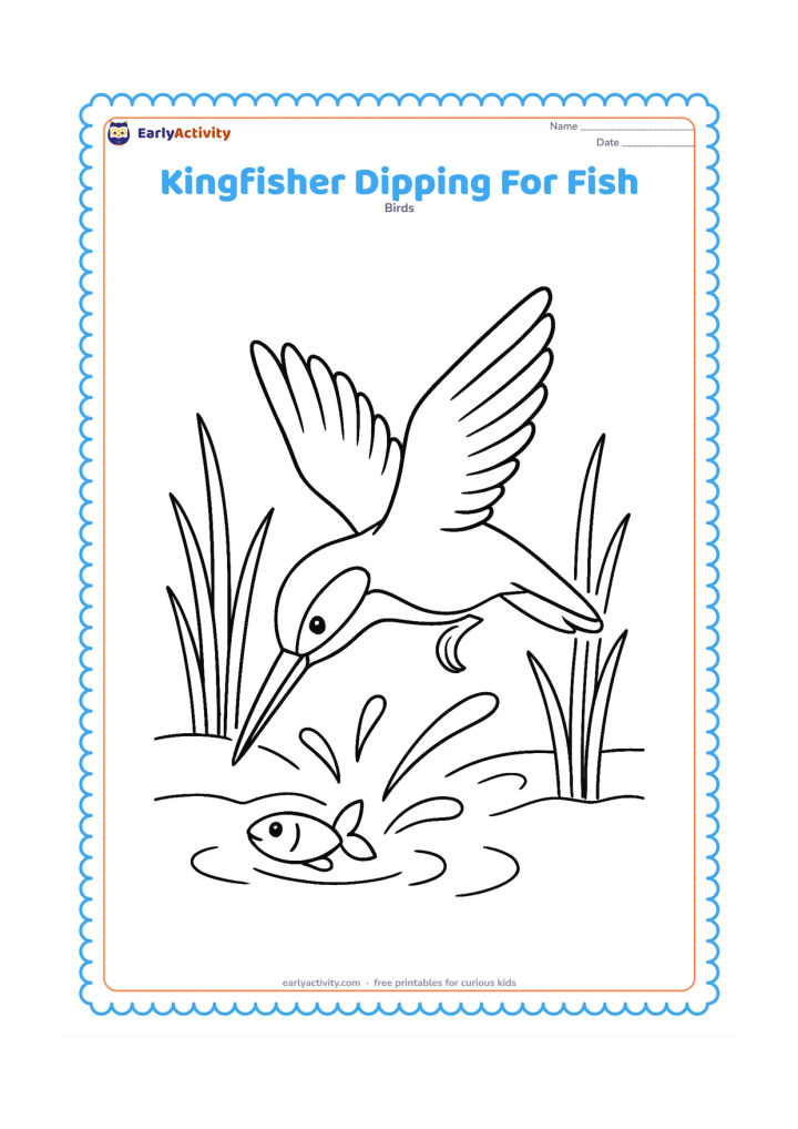 Colouring page: A kingfisher dives toward a small fish just below the water surface, with wings stretched back and beak nearly touching the water. Add reeds on both sides and several curved splash lines.