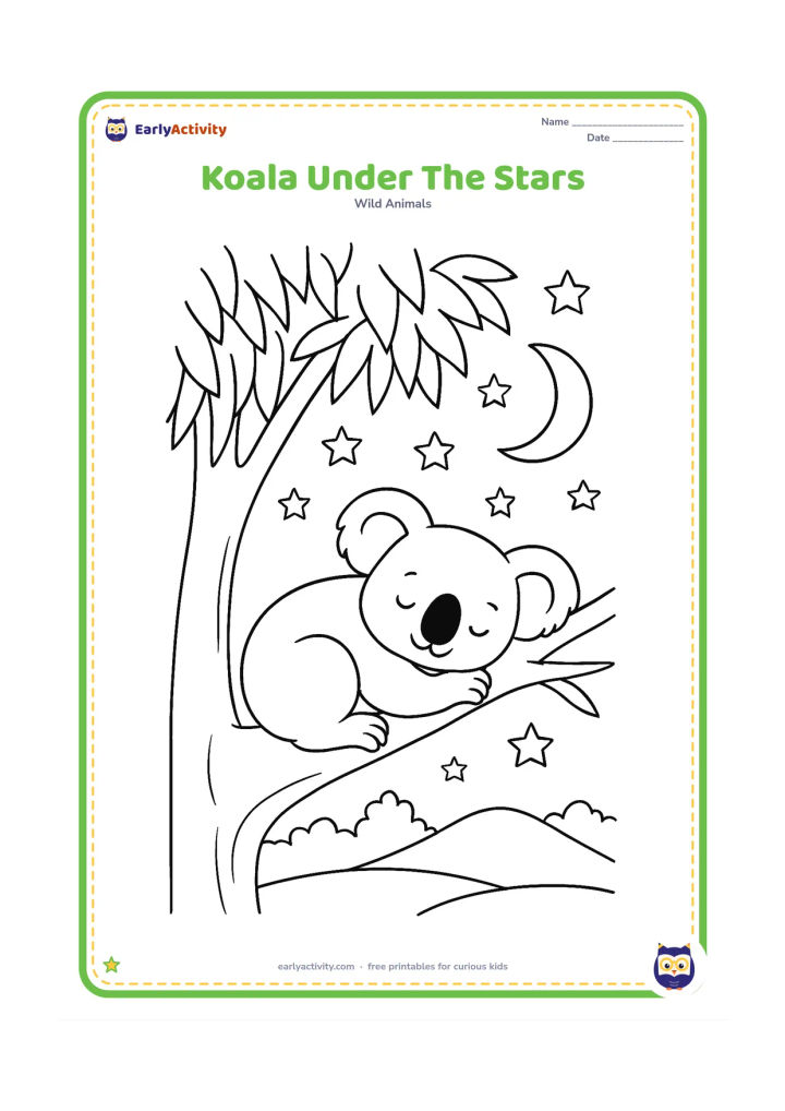 Colouring page: Draw a koala curled on a branch beneath a large eucalyptus canopy at night. Include a crescent moon, scattered star shapes, distant treetops and a quiet hill.