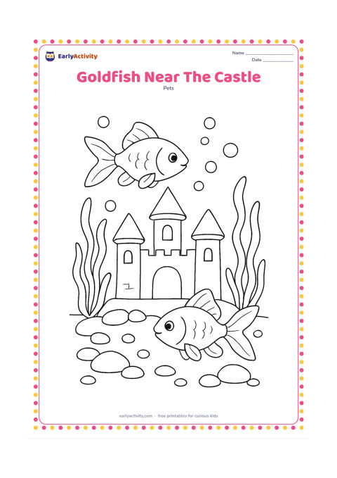 Colouring page: Draw two goldfish swimming around a simple underwater castle ornament with open windows and rounded towers. Add broad seaweed-like freshwater plants, stones and bubbles.