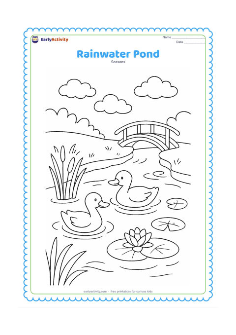 Colouring page: Rainwater flows from a grassy bank into a pond where two ducks swim. Show reeds, lotus leaves, a small footbridge, clouds and circular ripples on the water.