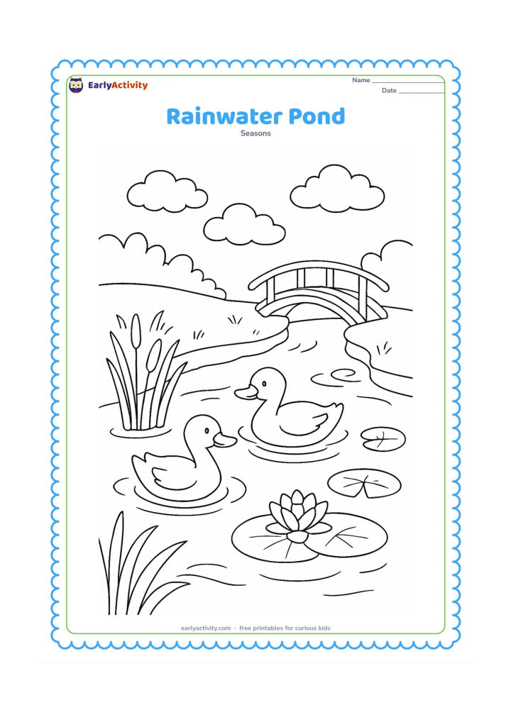 Colouring page: Rainwater flows from a grassy bank into a pond where two ducks swim. Show reeds, lotus leaves, a small footbridge, clouds and circular ripples on the water.