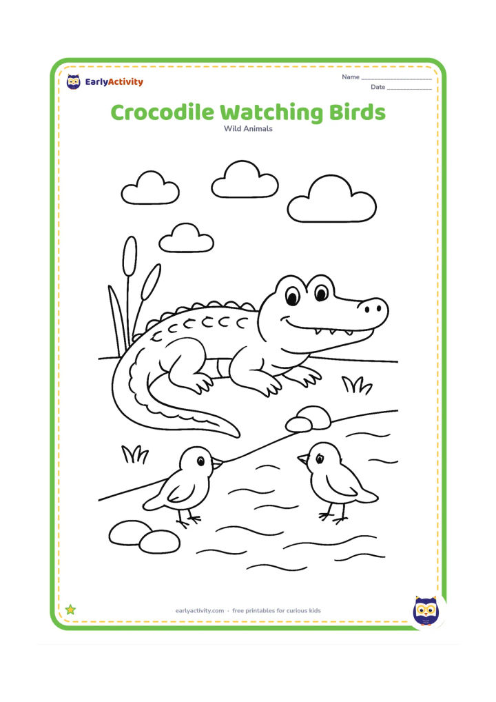 Colouring page: Draw a crocodile resting on a riverbank while two small non-character birds stand near the water. Include reeds, rounded stones, water ripples, and a few simple clouds.