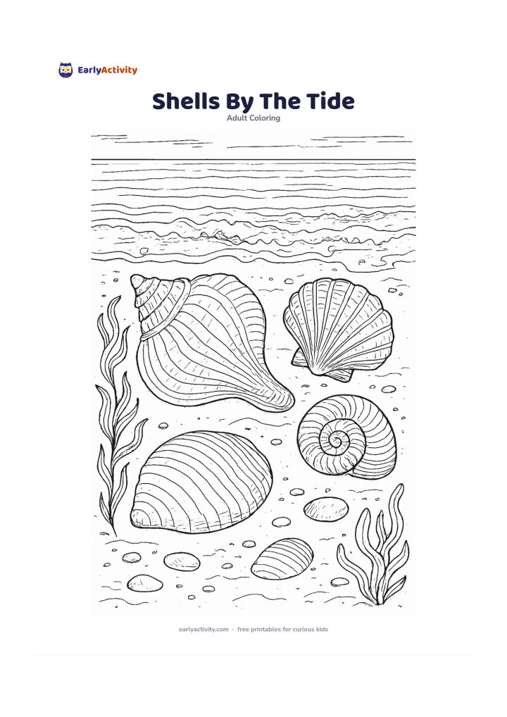 Colouring page: A collection of large conch, scallop, spiral and clam shells sits on wet sand at the edge of retreating waves. Add seaweed, small pebbles, foam trails and a distant calm horizon.