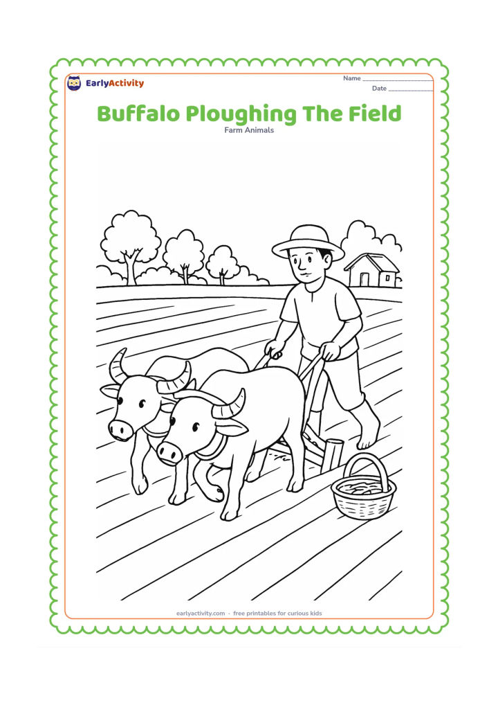 Colouring page: Draw a pair of buffaloes pulling a traditional wooden plough while a farmer guides them across a freshly prepared field. Include furrows, seed baskets, a tree line and a small farm hut.