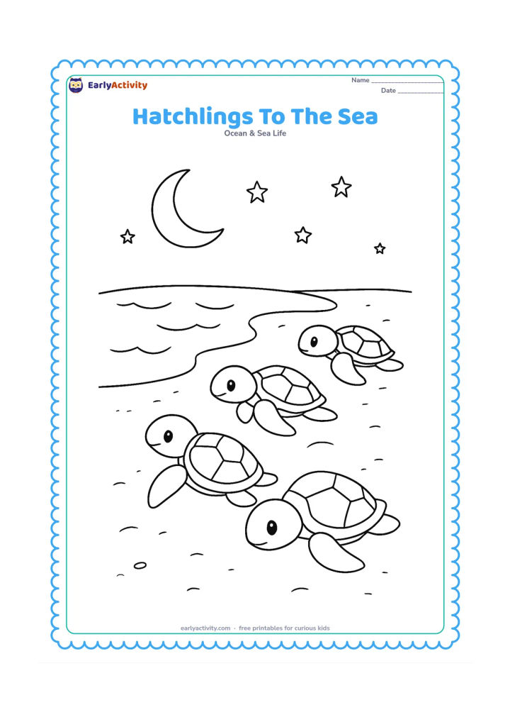 Colouring page: Draw several sea turtle hatchlings travelling from a sandy nest toward the water, with a crescent shoreline, gentle waves, and a moonlit sky.
