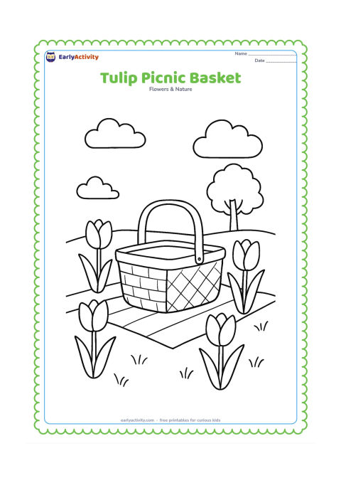 Colouring page: Draw a picnic basket surrounded by a small group of tulips in a grassy park, with a folded blanket, two clouds and a distant tree. Keep the flowers as the main focus.