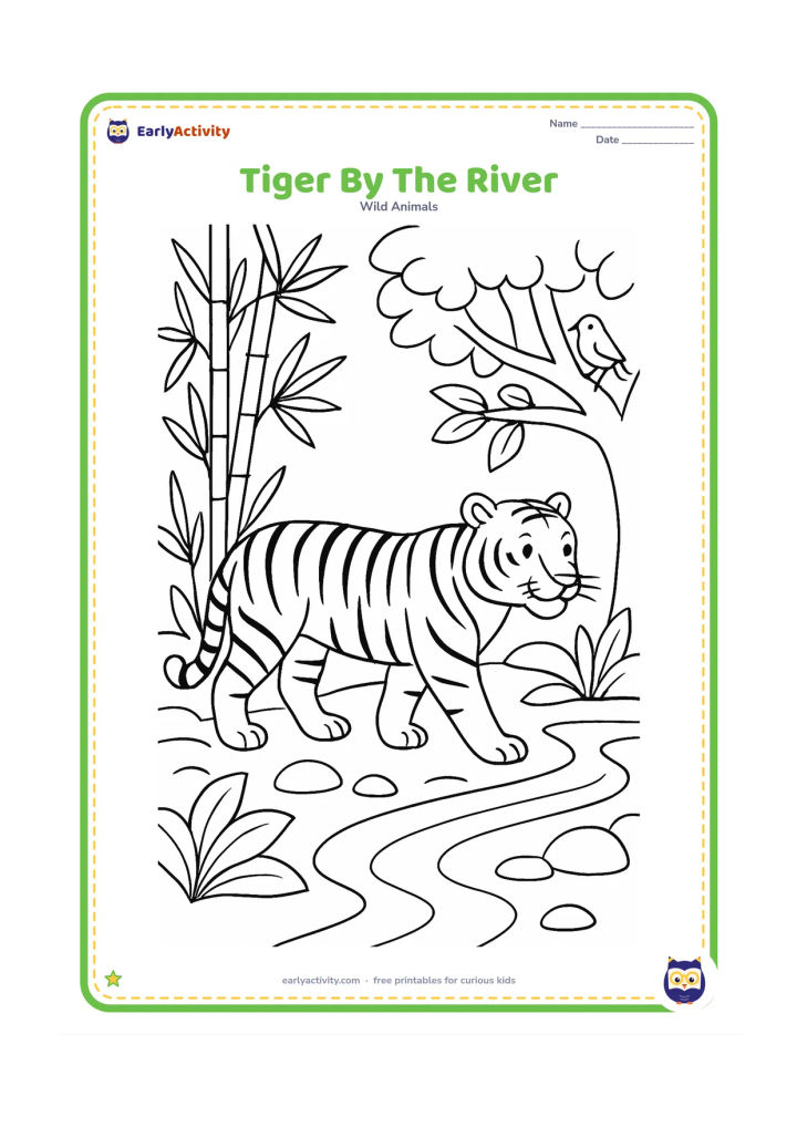 Colouring page: Draw a calm tiger walking beside a winding river in an Indian forest. Add bamboo, broad leaves, smooth stones and a small bird perched on a branch.