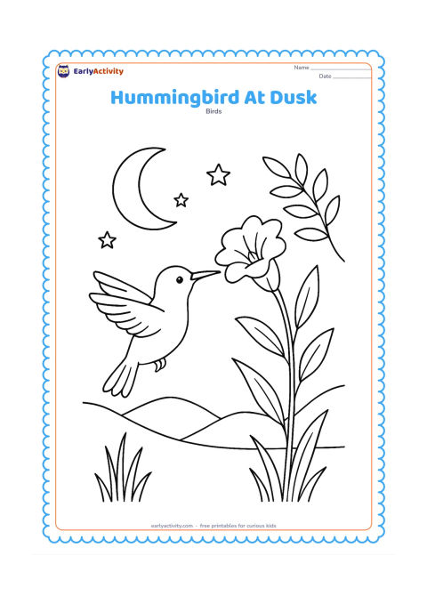 Colouring page: A hummingbird flies near a tall evening flower beneath a crescent moon and a few stars. Add darkening hills, slender grasses and a leafy branch.