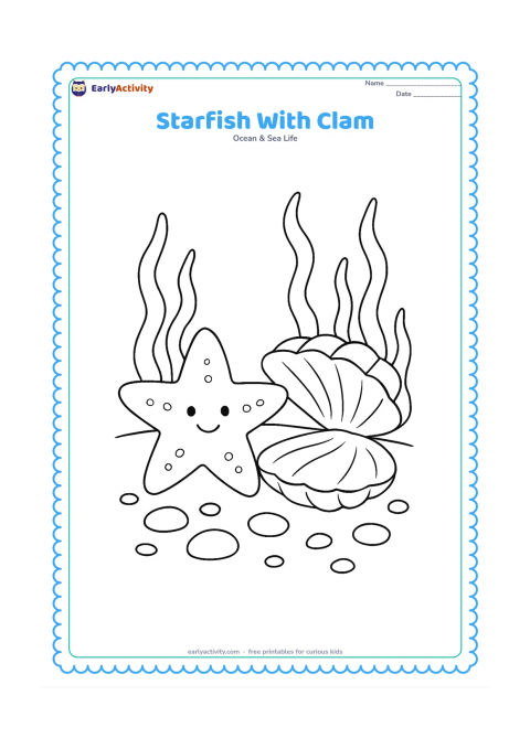 Colouring page: Draw a starfish beside an open clam shell on the seabed, surrounded by pebbles and curved seaweed.