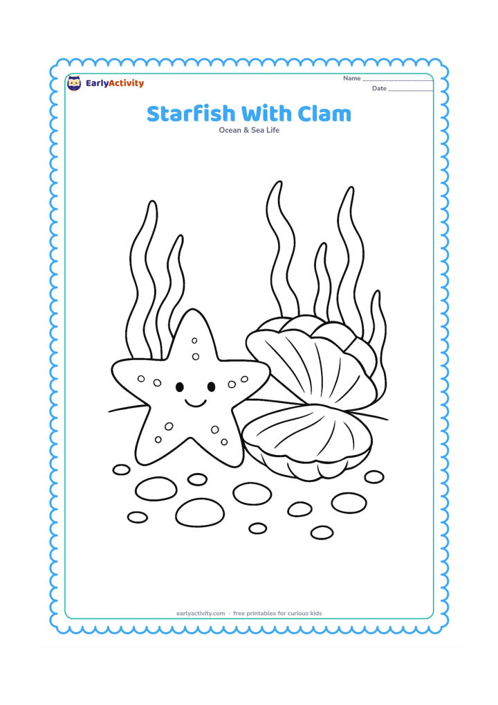 Colouring page: Draw a starfish beside an open clam shell on the seabed, surrounded by pebbles and curved seaweed.