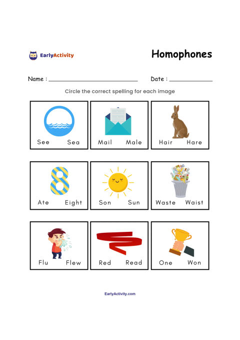 Worksheet with nine illustrated homophone pairs. Children circle words such as see or sea, mail or male, and hair or hare.