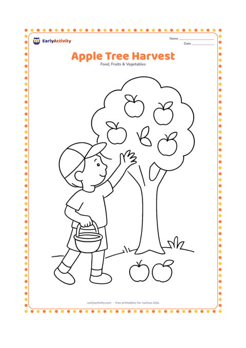 Colouring page: A child reaching toward a low apple tree while holding a small basket, with several apples on the branches and two apples on the grass.