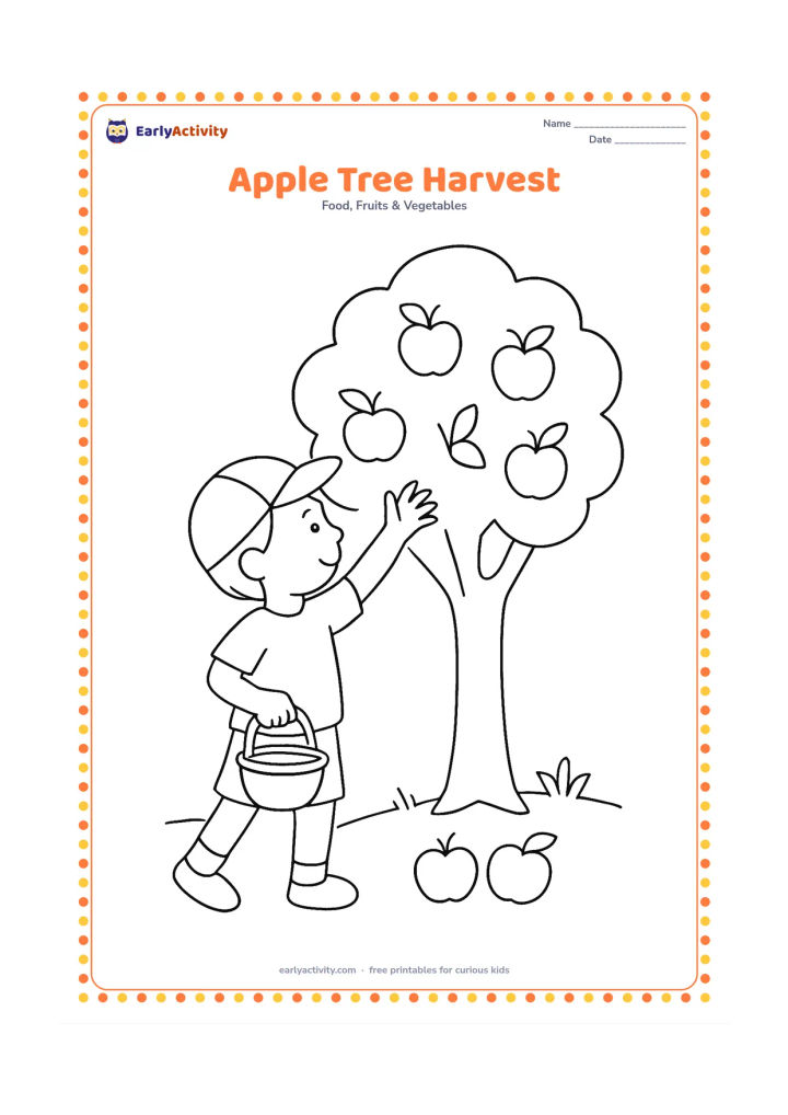Colouring page: A child reaching toward a low apple tree while holding a small basket, with several apples on the branches and two apples on the grass.