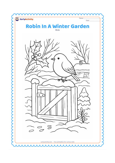 Colouring page: Draw a robin perched on a snow-covered garden gate with holly, bare branches, footprints, a small evergreen shrub and layered snowdrifts. Include a distant cottage garden wall without…