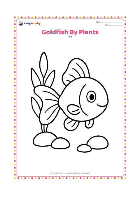 Colouring page: Draw one large goldfish beside two tall, broad-leaved water plants and a few large rounded stones. Show the fish facing forward at a slight angle.