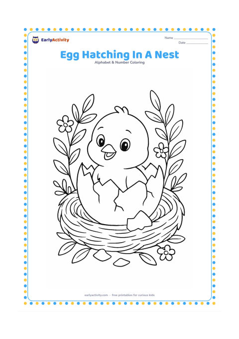 Colouring page: Draw a cracked egg in a woven nest with a cheerful baby bird peeking out safely. Surround the nest with leafy branches, small flowers and a few loose shell pieces.